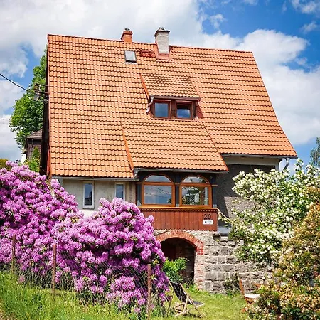 Dom Sudecki Chalet